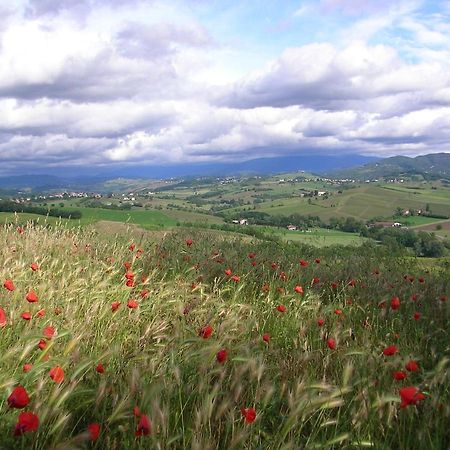 Villa Dei Romaniani Villaromagnano Bagian luar foto