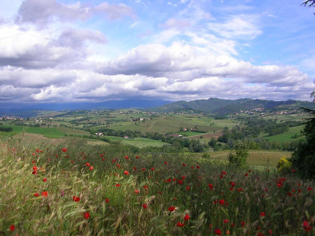 Villa Dei Romaniani Villaromagnano Bagian luar foto