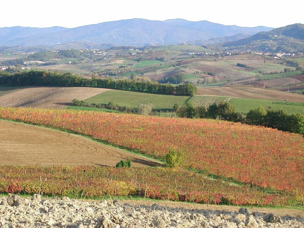 Villa Dei Romaniani Villaromagnano Bagian luar foto