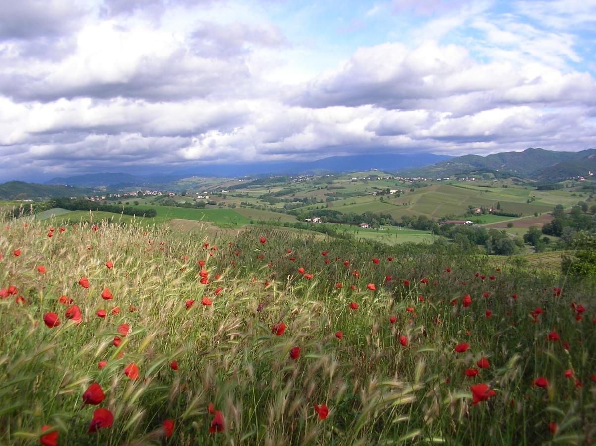 Villa Dei Romaniani Villaromagnano Bagian luar foto